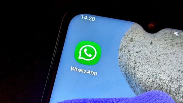Salvataggio del numero e informazioni profilo WhatsApp