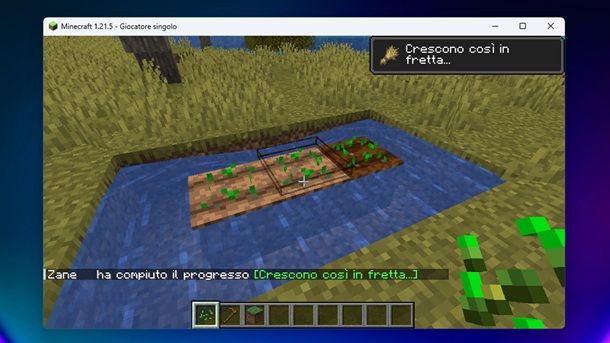 Coltivare grano Minecraft