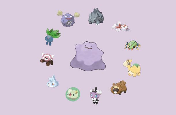 Come trovare Ditto