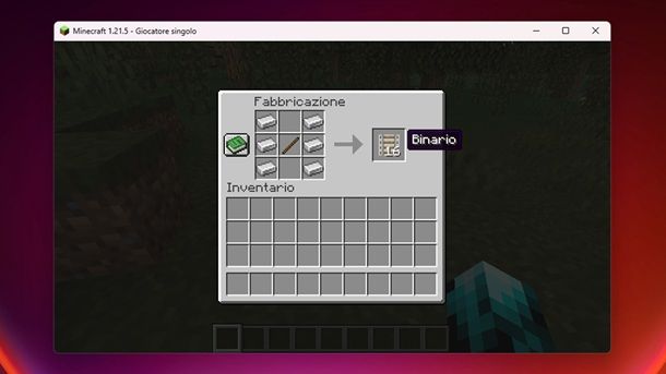 Binario Minecraft Informazioni preliminari