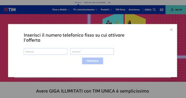 TIM UNICA