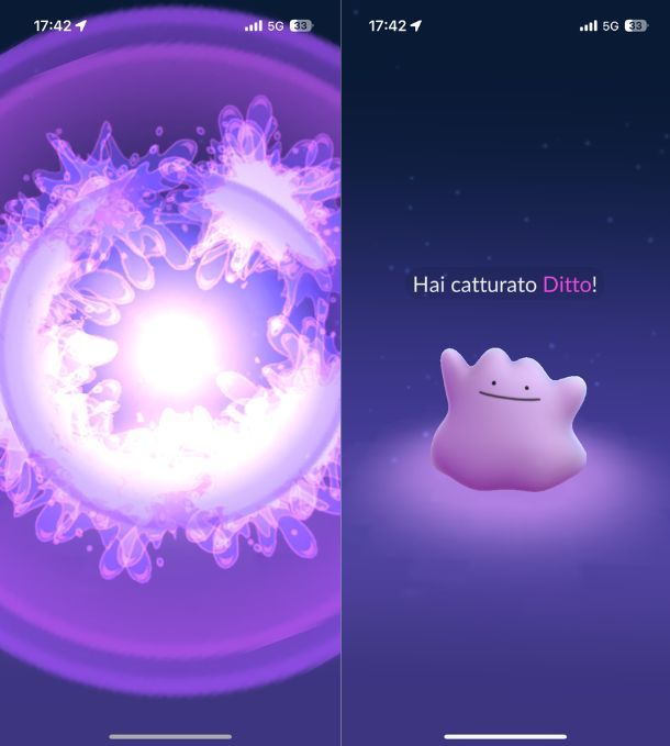 Catturare Ditto