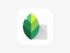 Come usare Snapseed