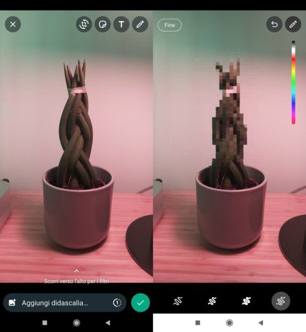 Pixellare foto su WhatsApp