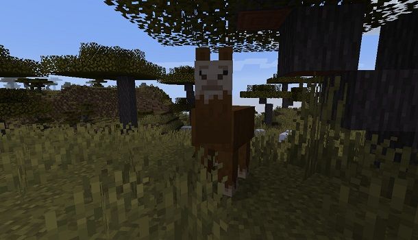 Lama su Minecraft