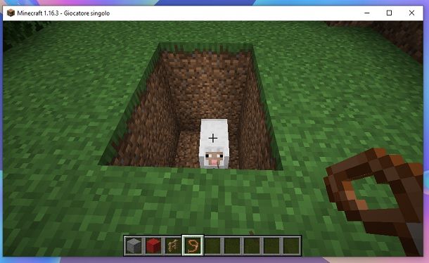 Tana animale Minecraft