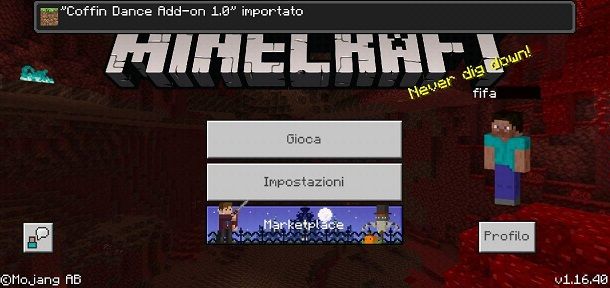 Addon importato Minecraft