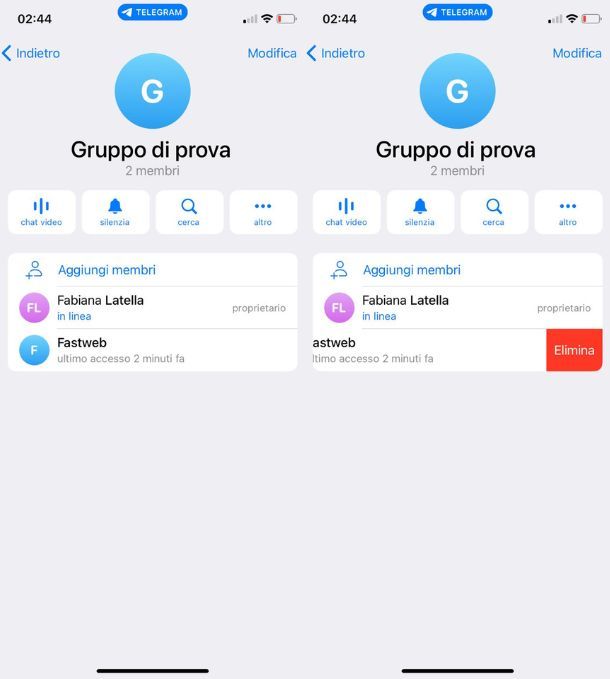 Cancellare contatto Telegram da un gruppo iPhone