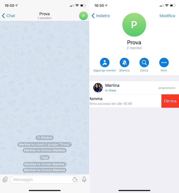 Rimozione contatti gruppi Telegram iOS