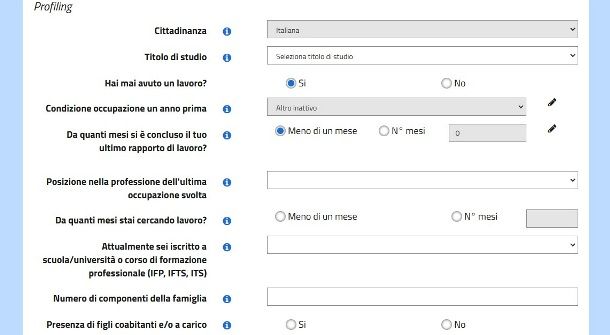 Compilare campi per Did online