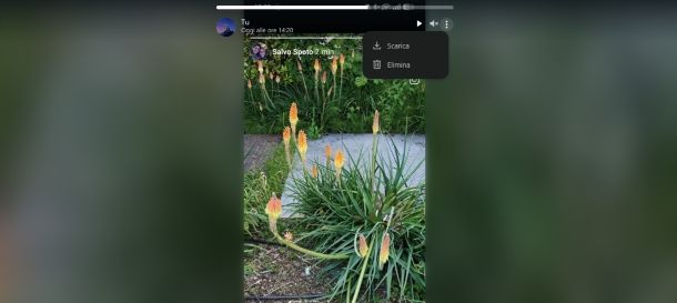 Come vedere i vecchi stati di WhatsApp su PC