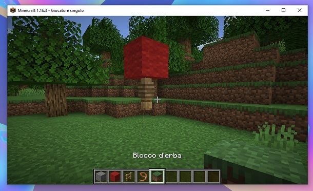 Chiudi terreno Minecraft