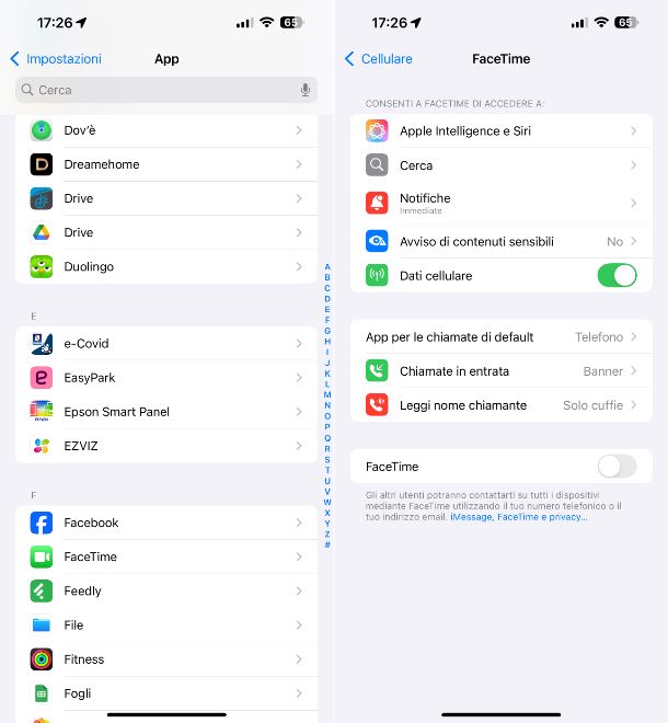 FaceTime iOS