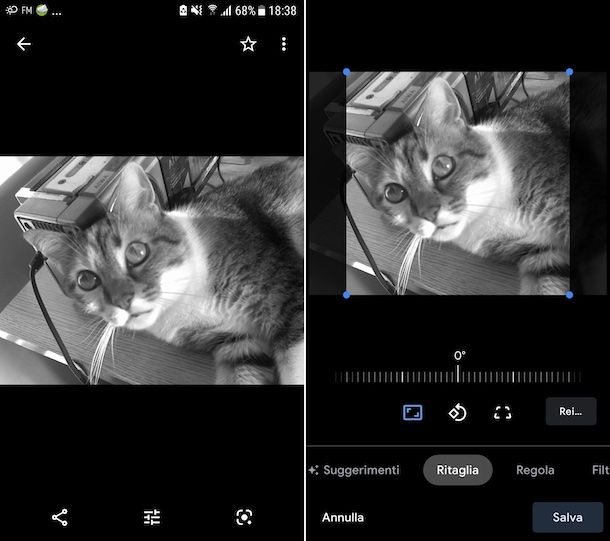 Google Foto (Android/iOS)