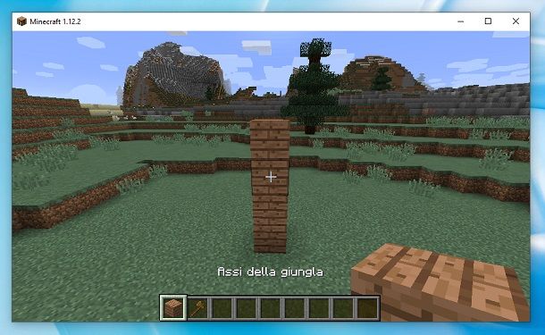 Assi della giungla Minecraft