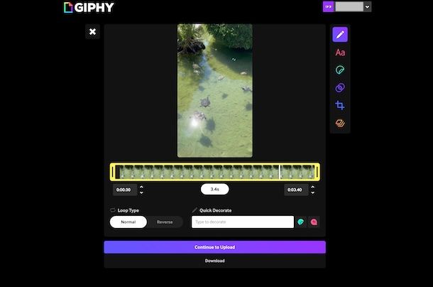 GIPHY
