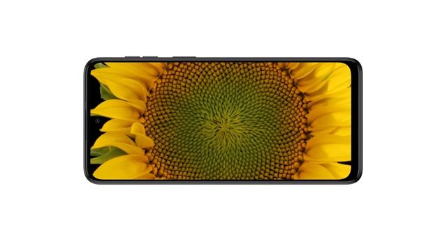 Display e form factor Motorola