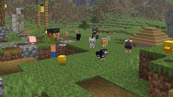 Informazioni preliminari Minecraft