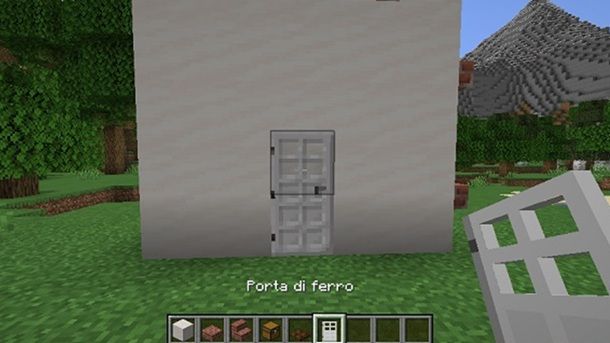 Porta di ferro negozio Minecraft
