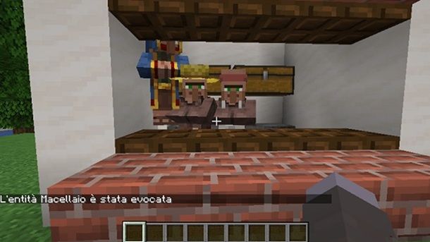 Macellaio Minecraft
