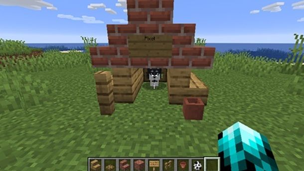 Come fare un negozio di animali su Minecraft