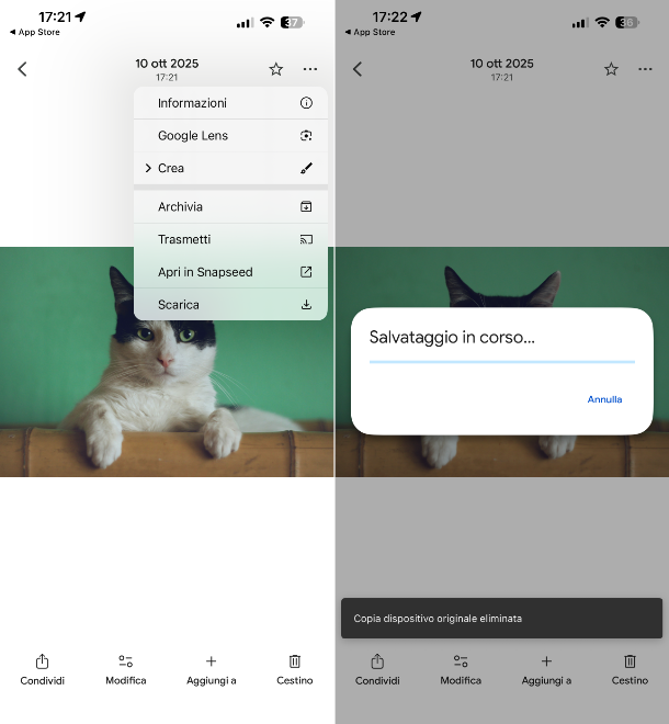 Google Foto