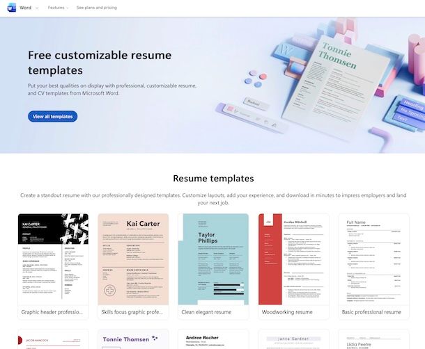 Curriculum vitae Word