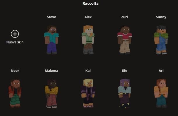 skin su Minecraft