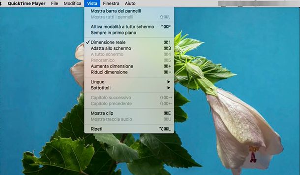 Come ritagliare l'immagine di un video con QuickTime