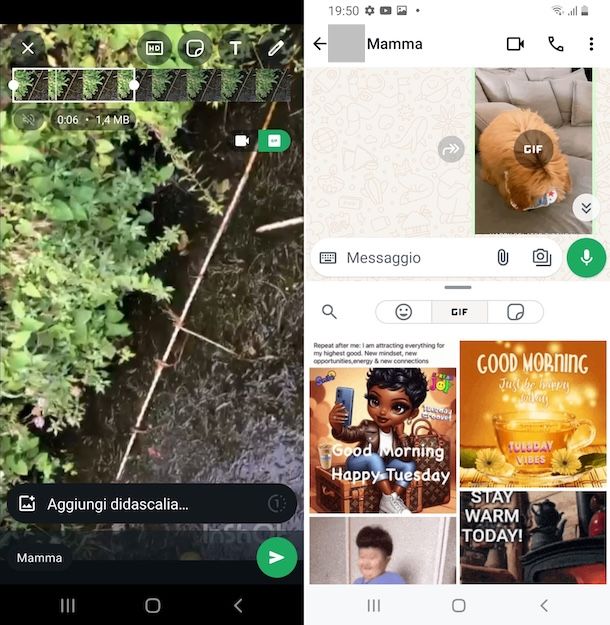 WhatsApp Android