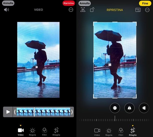 Altre app per ritagliare l'area di un video da iPhone e iPad