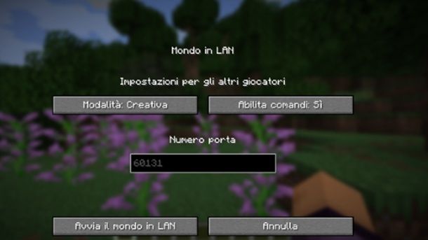 Creazione mondo LAN Minecraft