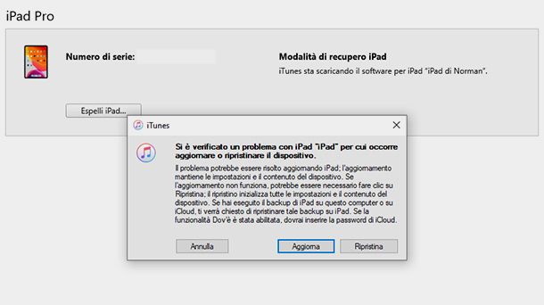 ripristino iPad con itunes