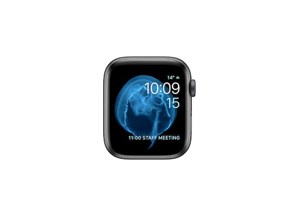 Quadrante Apple Watch Animazione