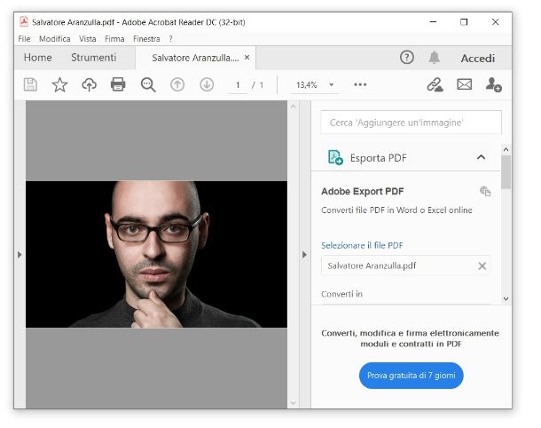 PDF