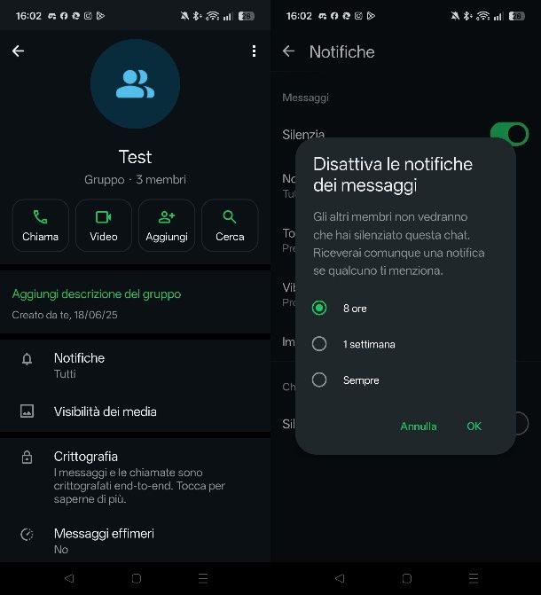 Come bloccare un gruppo su WhatsApp senza che se ne accorga qualcuno