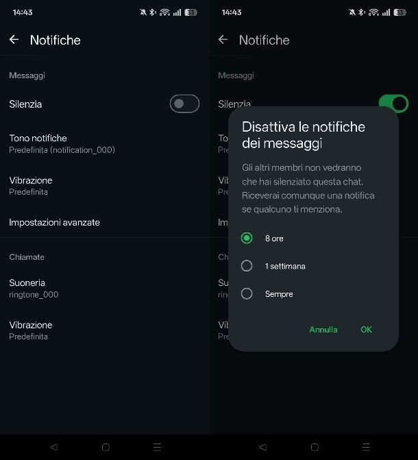 Silenziare le notifiche alla chat
