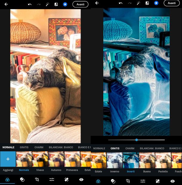 inversione colori adobe app