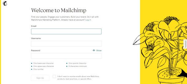 schermata di benvenuto MailChimp