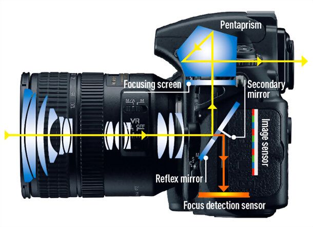 Consigli su quale Reflex comprare