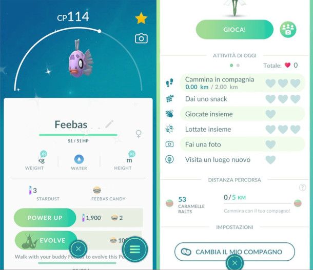 Feebas e gestione compagni in Pokémon Go