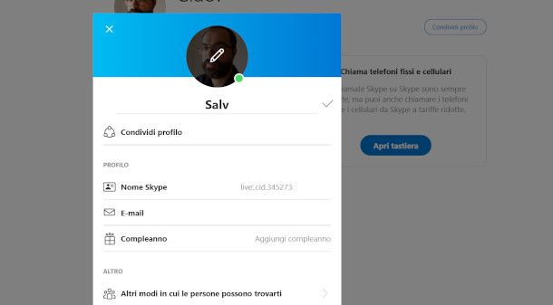 Modifica profilo software Skype