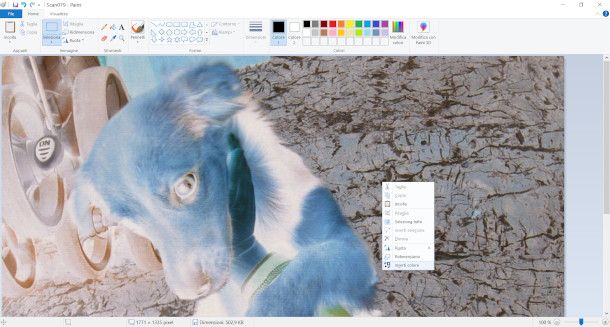 paint screenshot inversione colori