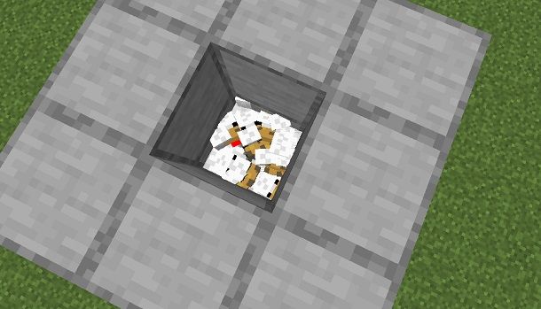 farm polli su Minecraft