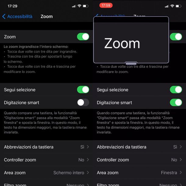 Zoom iPhone