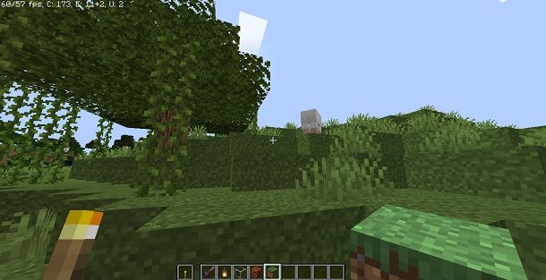 Minecraft