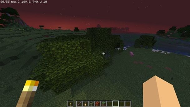 Informazioni preliminari OptiFine