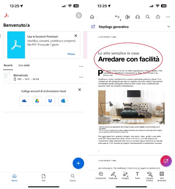 Adobe Acrobat Reader