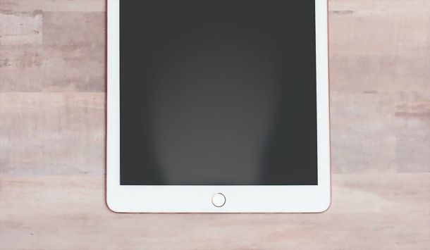 iPad