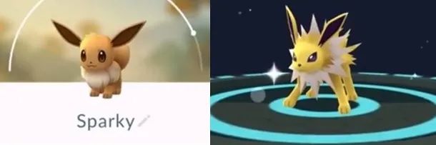 Altre evoluzioni Eevee Pokemon GO